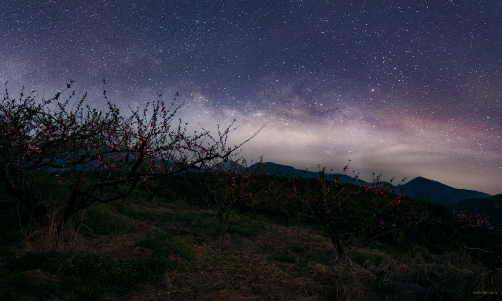 Starry night in spring