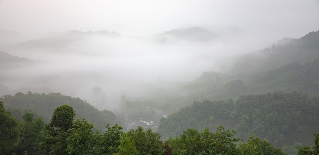 Mist in valley