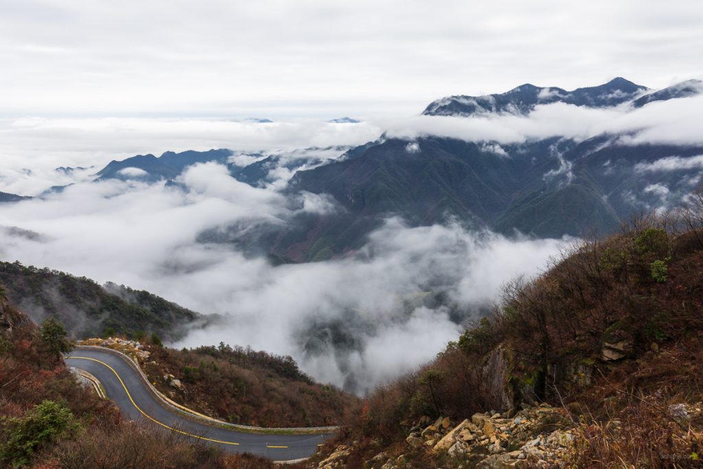 Mist in valley