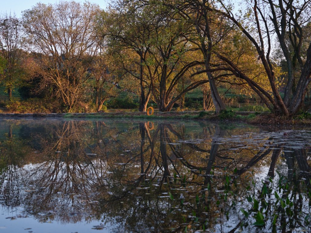 Reflection